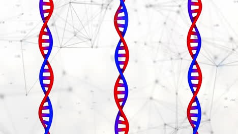 Animation-of-dna-strands-over-connections-on-white-background