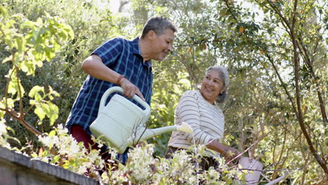 Happy-biracial-senior-couple-watering-plants-in-sunny-garden