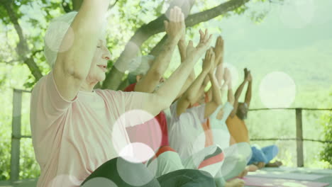 Animation-of-spots-of-light-and-trees-over-diverse-senior-people-practicing-yoga-in-garden