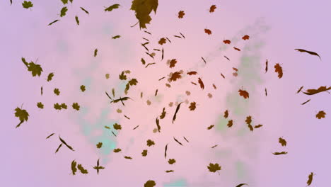 Animation-of-leaves-falling-over-blue-and-green-smoke-trails-on-pink-background