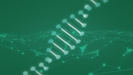 Animation-of-dna-strand-and-scientific-data-processing-over-connections-on-green-background