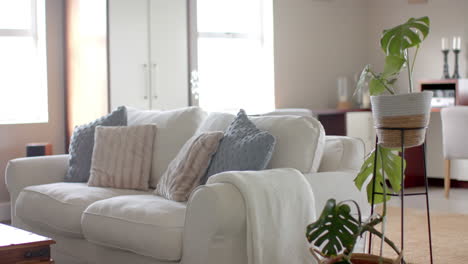 Wohnzimmereinrichtung-Mit-Zimmerpflanze,-Couch-Mit-Kissen-Und-Kleiderschrank,-Kopierraum,-Zeitlupe