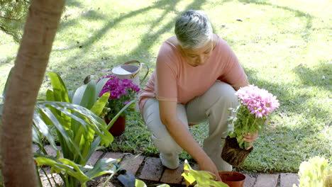 Glückliche-ältere-Frau-Mit-Gemischter-Abstammung,-Die-Zu-Hause-Im-Sonnigen-Garten-Blumen-Pflanzt,-Zeitlupe