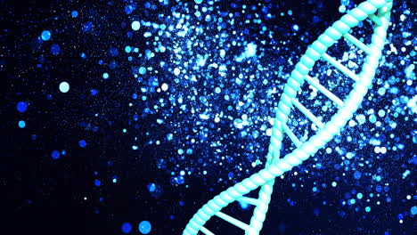 Animation-Eines-Sich-Drehenden-DNA-Strangs-Mit-Kopierraum-Auf-Blauem-Und-Schwarzem-Hintergrund
