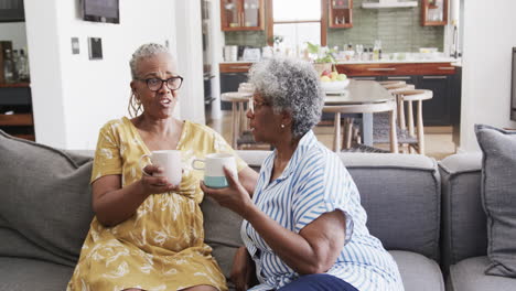 Happy-senior-african-american-female-friends-having-coffee,-talking-on-couch,-slow-motion
