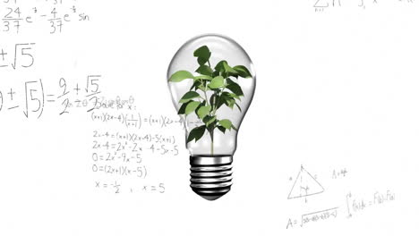 Animation-of-mathematical-data-processing-over-plant-growing-in-lightbulb