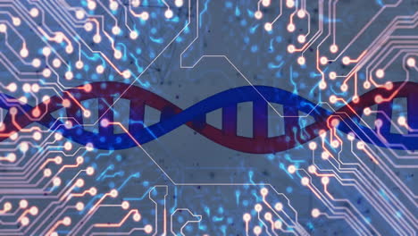 Animation-of-dna-strand-and-data-processing-over-computer-circuit-board