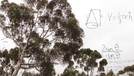 Animation-of-layers-of-mathematical-formulae-and-equations-over-trees-and-sky