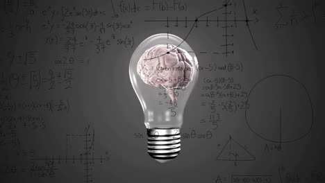 Animation-Der-Mathematischen-Datenverarbeitung-über-Dem-Menschlichen-Gehirn-In-Einer-Glühbirne