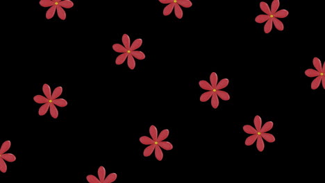 Animation-of-rows-of-chinese-red-flowers-with-copy-space-on-black-background