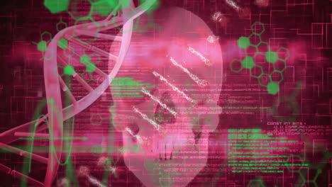 Animation-Der-Wissenschaftlichen-Datenverarbeitung-Und-Des-DNA-Strangs-über-Dem-Menschlichen-Schädel