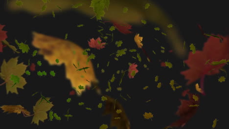 Animation-of-autumnal-leaves-falling-on-black-background