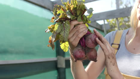 Happy-caucasian-woman-working-in-garden-and-picking-beetroots,-slow-motion