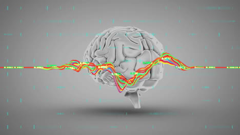 Animation-of-multicolored-graphs-with-changing-numbers-over-human-brain-on-gray-background