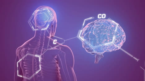 Animation-Einer-Chemischen-Formel-über-Einem-Digitalen-Gehirn-Und-Einem-Menschlichen-Modell-Auf-Violettem-Hintergrund