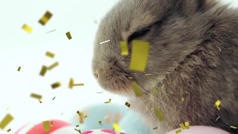 Animation-of-confetti-over-rabbit-with-easter-eggs-on-white-background-at-easter