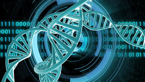 Animation-Von-Sich-Drehenden-DNA-Strängen-Mit-Binär-Kodierter-Datenverarbeitung-Auf-Schwarzem-Hintergrund