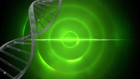 Animation-Eines-DNA-Strangs,-Der-über-Grün-Leuchtende,-Flackernde-Kreise-Rotiert