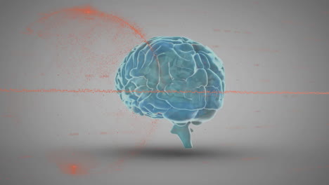 Animation-of-graph-and-globe-over-rotating-human-brain-against-gray-background