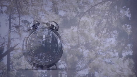 Animation-Einer-Uhr,-Die-über-Einem-Tannenwald-Läutet