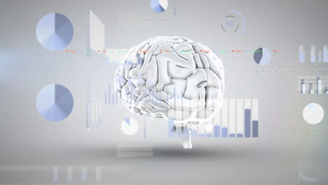 Animation-of-data-processing-over-human-brain-on-grey-background
