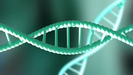 Animation-of-dna-strands-spinning-with-copy-space-over-green-background