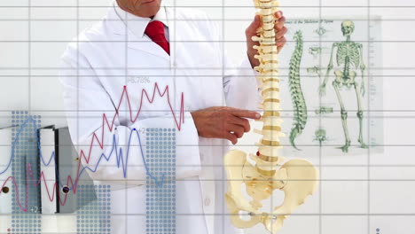 Animation-of-graphs-processing-data-over-caucasian-male-doctor-teaching-about-spine