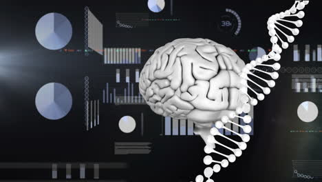 Animation-of-digital-brain-and-dna-strand-over-financial-data-processing-on-black-background