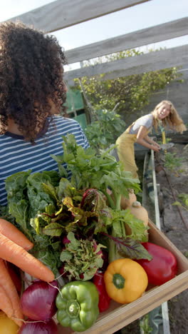 Vertical-video-of-portrait-of-happy-cauasian-couple-working-in-garden,-slow-motion