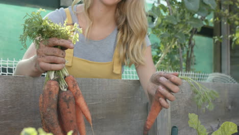 Happy-caucasian-woman-working-in-garden-and-picking-carrots,-slow-motion