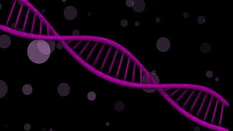 Animation-of-dna-strand-spinning-over-glowing-spots-on-dark-background