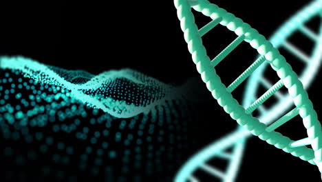 Animation-of-dna-strands-spinning-with-copy-space-over-black-background
