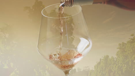 Composite-of-white-wine-being-poured-into-glass-over-vineyard-background