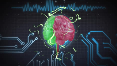 Animation-Des-Menschlichen-Gehirns-Und-Der-Datenverarbeitung-über-Eine-Leiterplatte