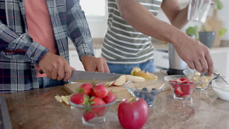 Midsection-of-diverse-gay-male-couple-preparing-healthy-fruit-smoothie-in-kitchen,-slow-motion