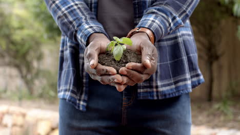 Midsection-of-mature-african-american-man-holding-soil-with-seedling-plant-in-garden,-slow-motion