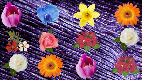 Animation-of-rows-of-flowers-over-moving-purple-texture-and-copy-space-on-black-background