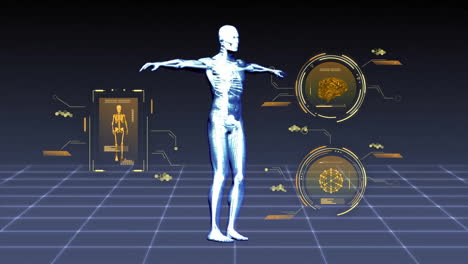 Animation-Des-Menschlichen-Körpers-Und-Wissenschaftliche-Datenverarbeitung-über-Gitter