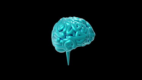 Animation-Des-Blauen-Menschlichen-Gehirns,-Das-Sich-Auf-Schwarzem-Hintergrund-Dreht