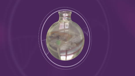Animation-Schwebender-Chemiekolben-über-DNA-Ketten-Auf-Violettem-Hintergrund