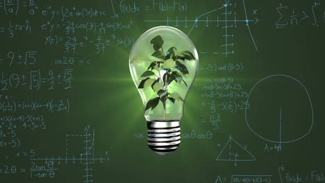 Animation-of-light-bulb-with-plant-and-mathematical-data-processing