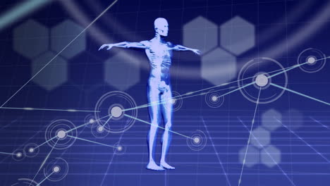 Animation-Des-Menschlichen-Körpers-Und-Wissenschaftliche-Datenverarbeitung-über-Verbindungen