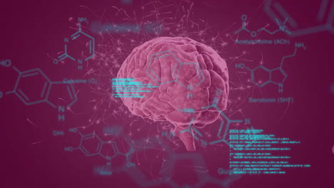 Animation-of-data-processing-with-chemical-formula-over-digital-brain-on-black-background