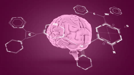 Animation-of-chemical-formula-over-digital-brain-on-purple-background