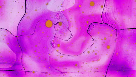 Animation-of-orange-light-orbs-over-pink-blots