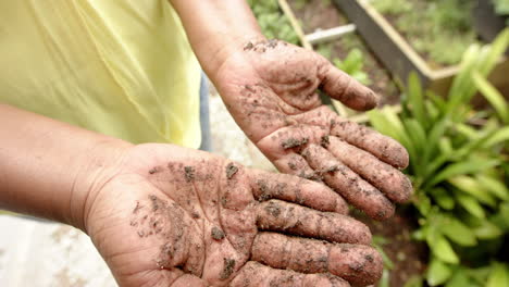 Dirty-hands-of-african-american-senior-woman-tending-plants-in-sunny-garden,-slow-motion