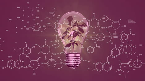 Animation-Einer-Chemischen-Formel-über-Einer-Glühbirne-Mit-Pflanze-Auf-Violettem-Hintergrund