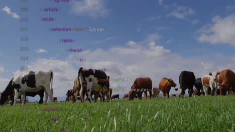 Animation-of-data-processing-over-cows-on-field