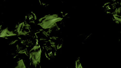 Animation-Der-Sich-Bewegenden-Und-Verändernden-Grünen-Textur-Und-Des-Kopierraums-Auf-Schwarzem-Hintergrund