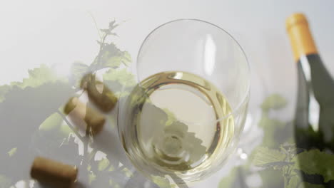Composite-of-bottle-of-wine,-glass-of-white-wine,-corks-over-vineyard-background